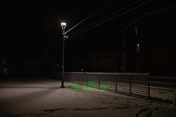 夜景1